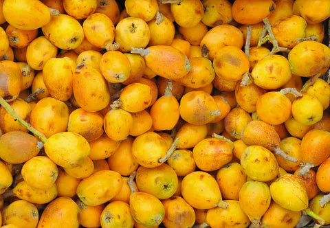Marula Oil