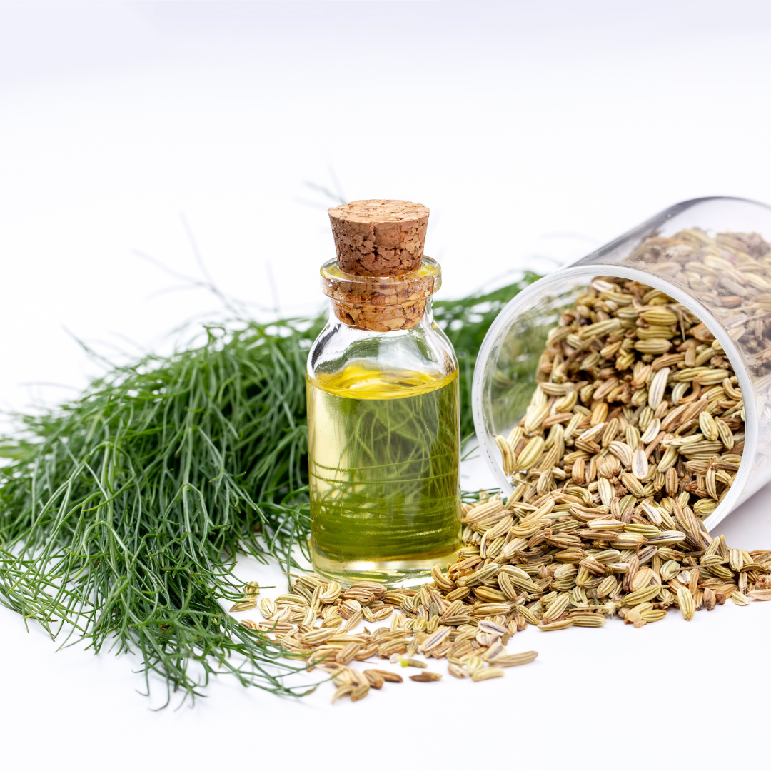 Dill Seed Oil (Anethum Graveolens (Dill) Seed Oil)