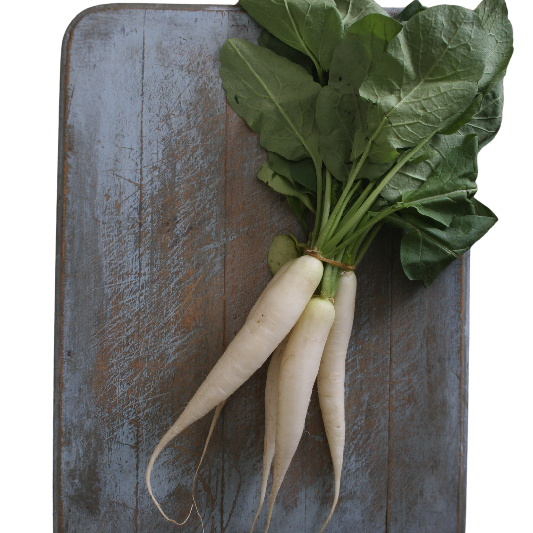 Radish Root (Leuconostoc/Radish Root Ferment Filtrate)