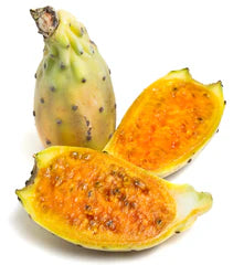 Prickly Pear